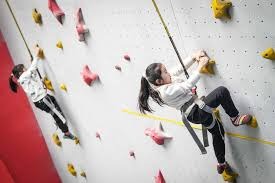 赛前被看衰！巨汉鲍勃萨普蛮力KO“完美先生”，成搏击界传奇